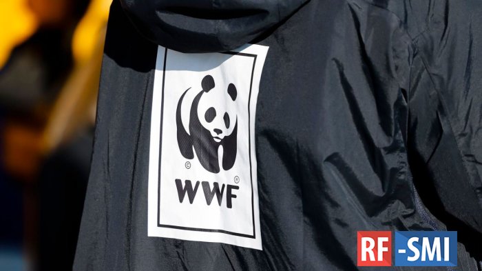       WWF