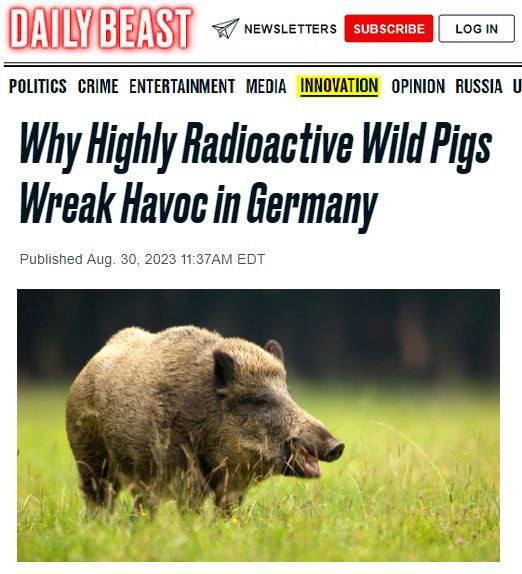 По лесам южной Германии бегают безумные радиоактивные кабаны
