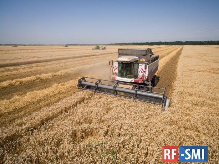 Рекордный урожай пшеницы сделал Россию игроком №1 на рынке зерна