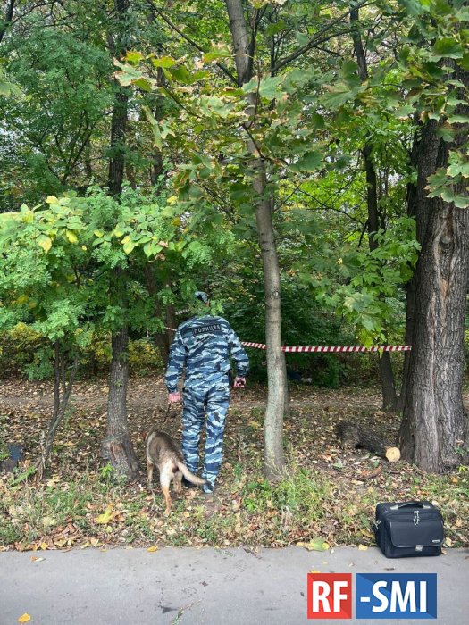 На западе Москвы у жилого дома нашли тело женщины