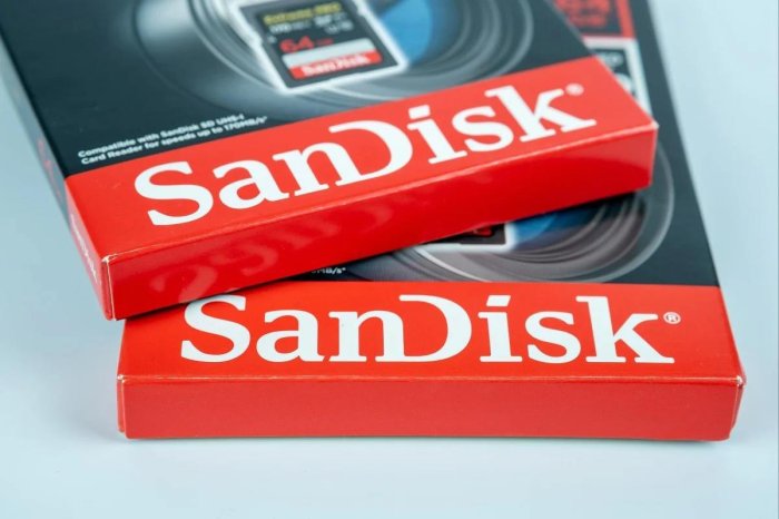   80%   SanDisk  $624 