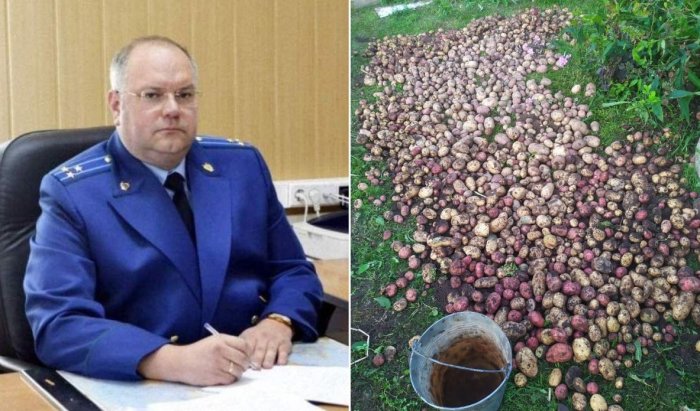 В Рязанской области прокурор получил условный срок за взятку мешками с картошкой В Рязанской области прокурор получил условный срок за взятку мешками с картошкой