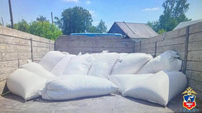 В Алтайском крае задержан похититель более тонны зёрен кукурузы В Алтайском крае задержан похититель более тонны зёрен кукурузы