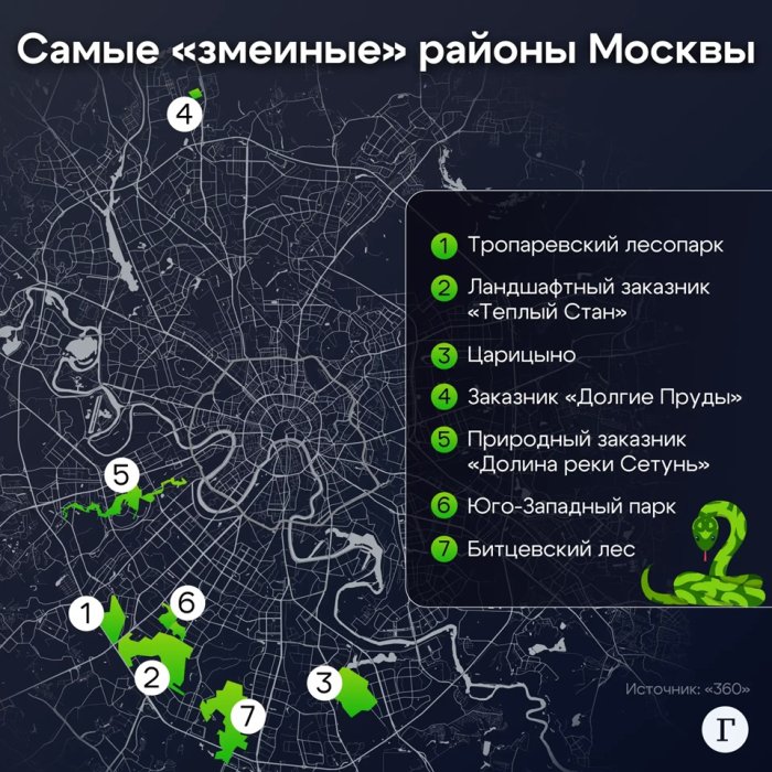 Названы районы Москвы, где водятся ядовитые змеи. В нашем случае гадюки Названы районы Москвы, где водятся ядовитые змеи. В нашем случае гадюки