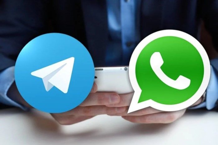   Telegram  WhatsApp*     