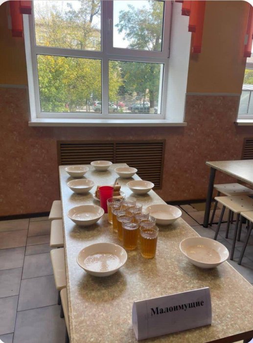 Директора школы в Азове уволили за сортировку детей по "статусу" Директора школы в Азове уволили за сортировку детей по "статусу"