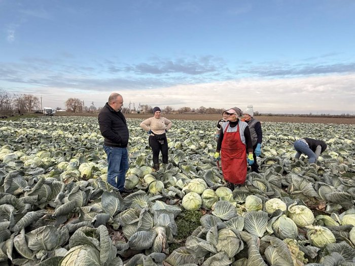 26,7 ������ ���� ������������ ������� ������� � ���� ���� � �����