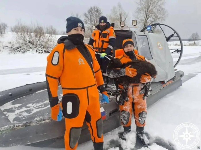 � �������� ��������� ������� �� ����� 780 �������� ���� � �������