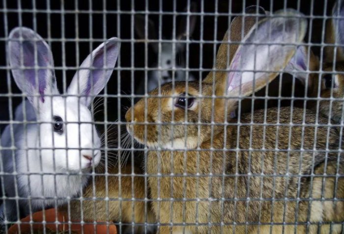 ���������� ������ ����-���  ����� ������ ������� ���� ����