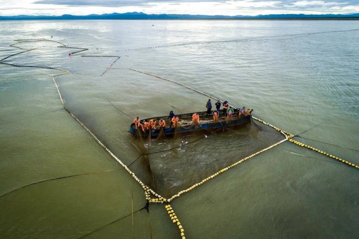 ������ ��������� ������� ��������� �� ������ ������������� �������