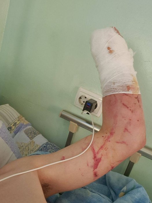 ��������� �������� ��������� �� ������� ���������� � �����