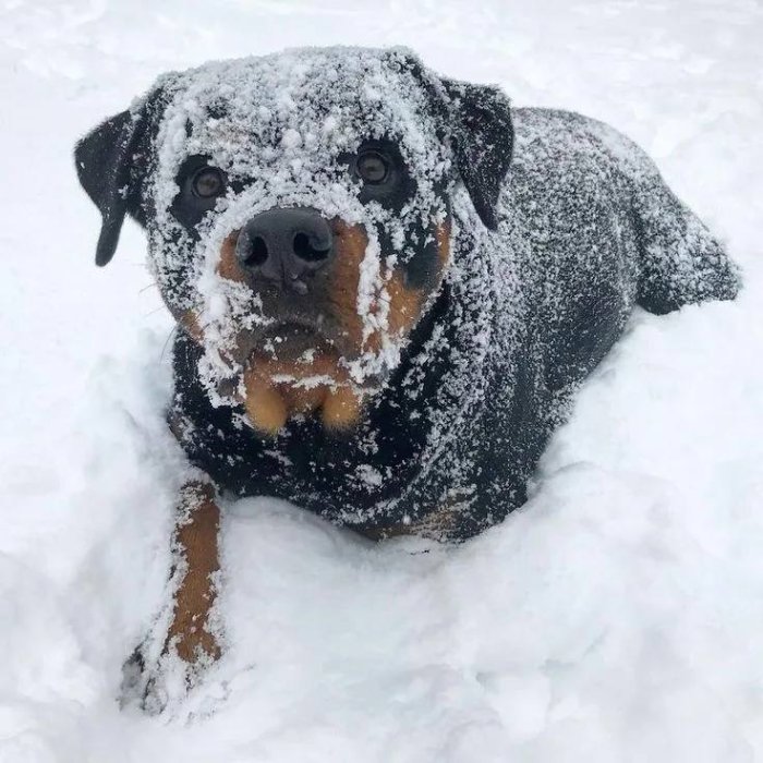 � ����������� �� ������������� �������� ����� ��������� ���������