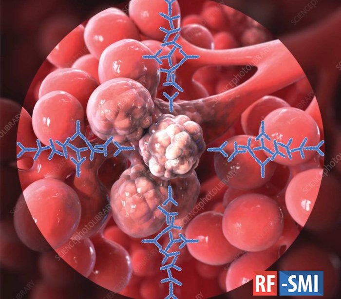 ����� ������������� ��������� ���������� ��� ������ ������������