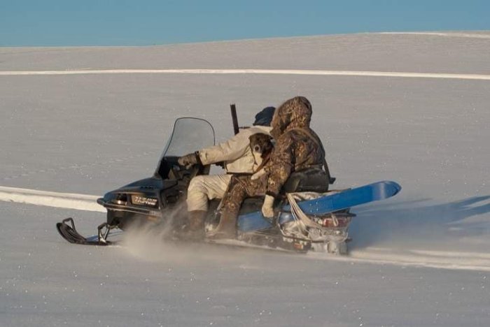 ������� �������� ���� ���� ����� �� ����� ��� � ����������� �������