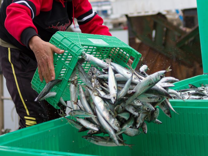  � ����������� (����) ����� ���� ����� � ������� ���� � 2025 ����