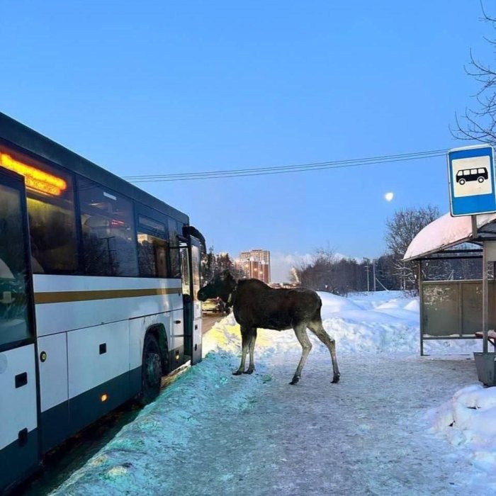 ���� ������ ���� �������� � ����� � ����������� ��-�� �������