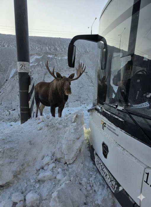 ���� ������ ���� �������� � ����� � ����������� ��-�� �������