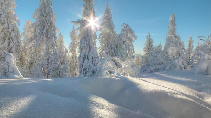 ������ ������������� ������� � ������  � ������� ������� � ������