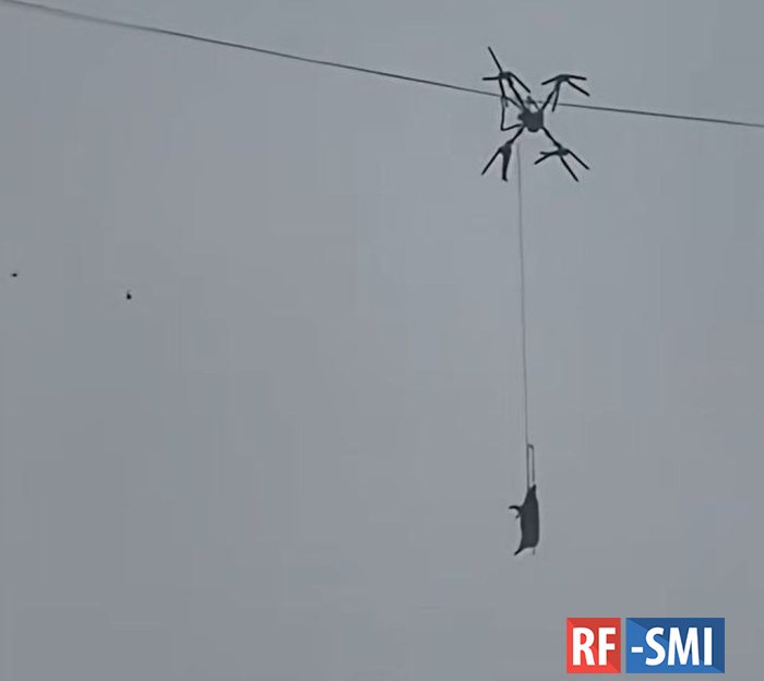 ������ ����������� � ����� �������� 10-������� ������� � �����