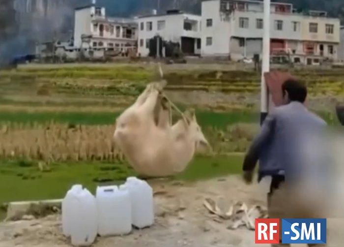 ������ ����������� � ����� �������� 10-������� ������� � �����