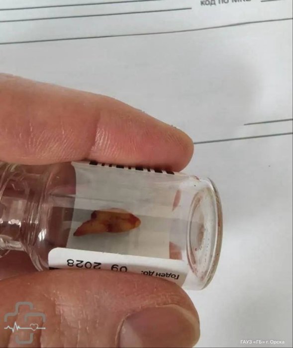 ����� ����� ��� �� ���� �������� ������� ����� � ������������ �������