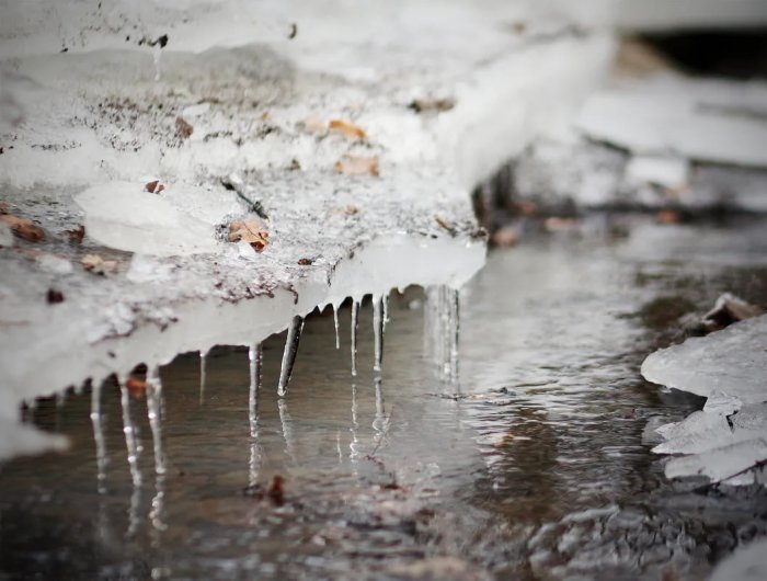 ��� ��� ����������� ����� � ���� ����? ����� ����� ���������?