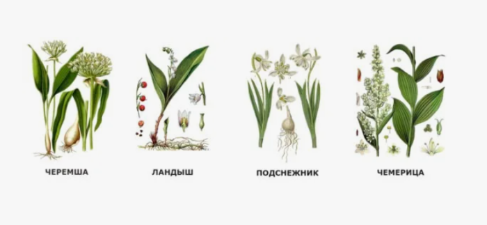 �������� ����� ������� ������ ����������� ��� ����� �������