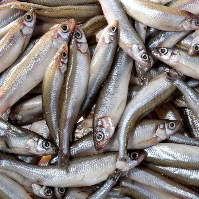 ����� ������� ���������� �������� � �������� ������� 15 ������