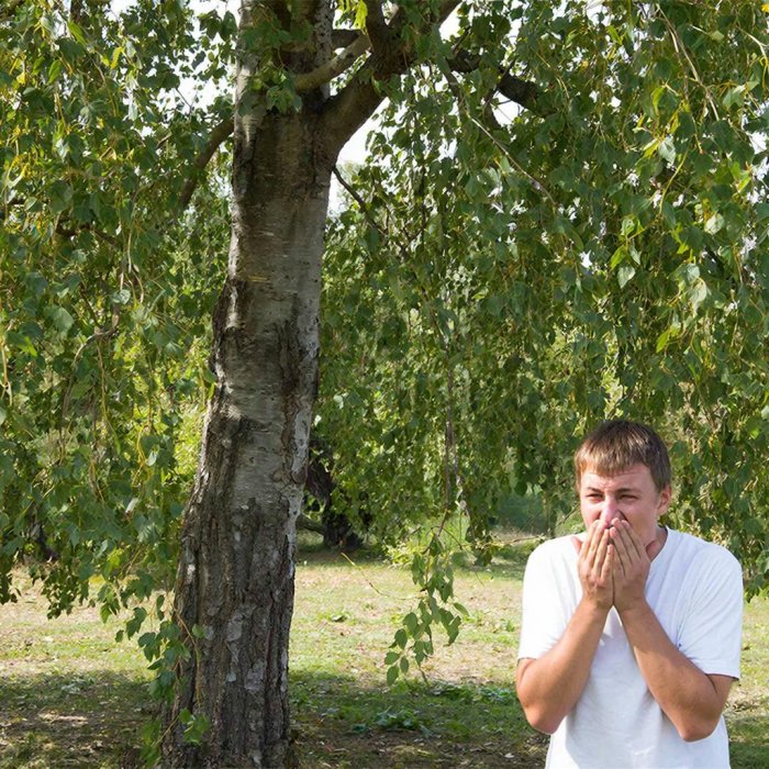 � ������ ��������� ����� ��������: ������� ������� �����