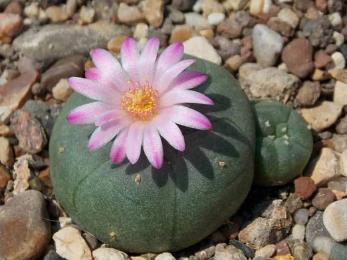 �� ���������� �� ���� �������� � ���������� ������ ����� �� 300 ���. ������