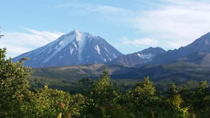 ������������� ������ ������� �� ��������. ������������ ��� �����������