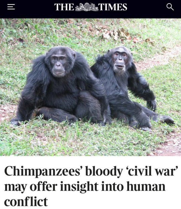 ������������ ����� ������� ����� ��������� ������������ ���������