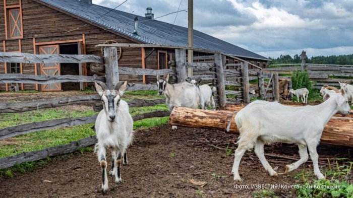 ��� ���� ���� ��� � ������� ������ ����� ����� � ����� � ������ ���.