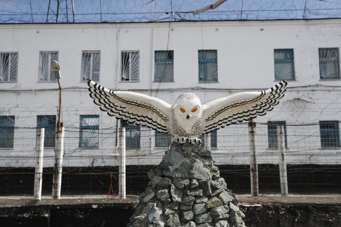 ���������� ���������� ��������� ������ ���������� ��� �� ���