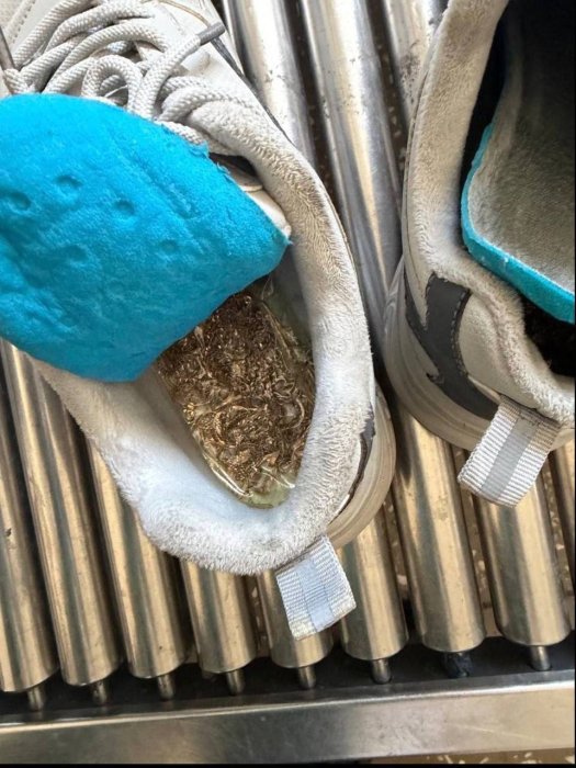 � ������������� ����������� ������� ��������� ������� ���������