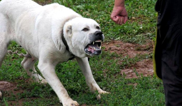 � ����� ������� ������ ������ �� ������� � ����� �� ������������