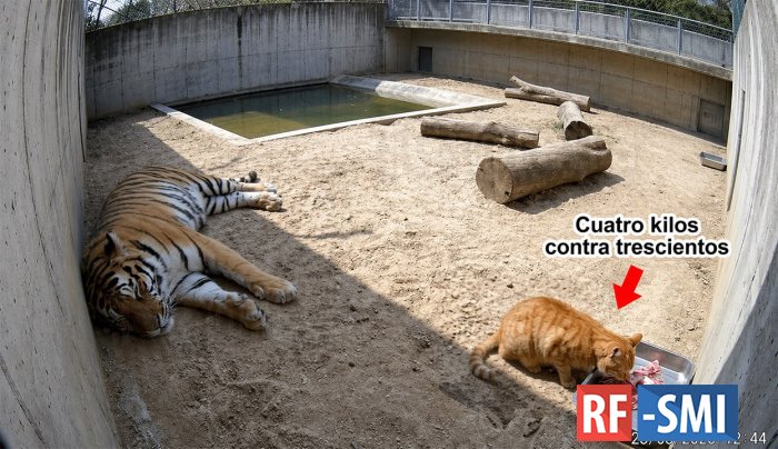 � ������������ �������� ����� ��� ������ ��� � �����, ���� ��� ����