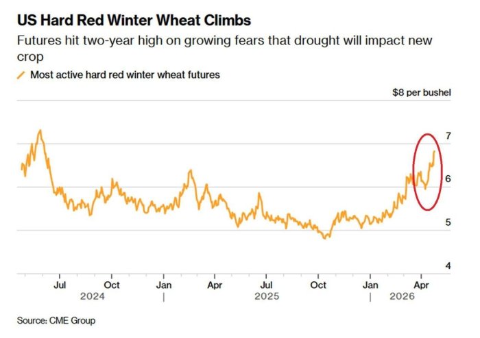 ���� �� ������� ������� � ��� ����� �������. ���� 40 ���������