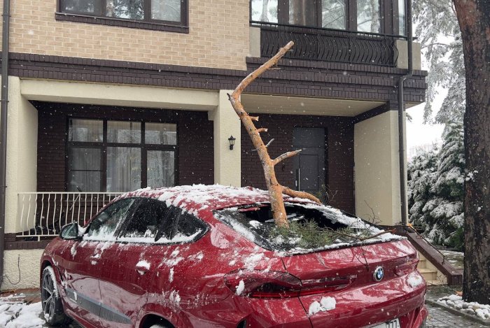 ���������� ������� ��������� � ������ ������������ �������