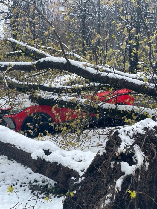 ������ � ���������� ����� ���������� ������� ���������� ������