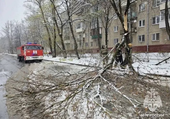 ������ � ���������� ����� ���������� ������� ���������� ������