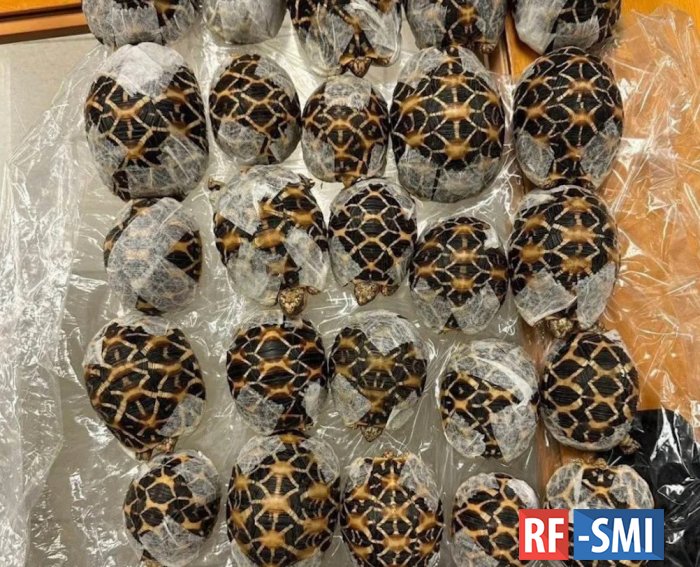 ��������, ���������� ������ ����������, ��������� � ���������